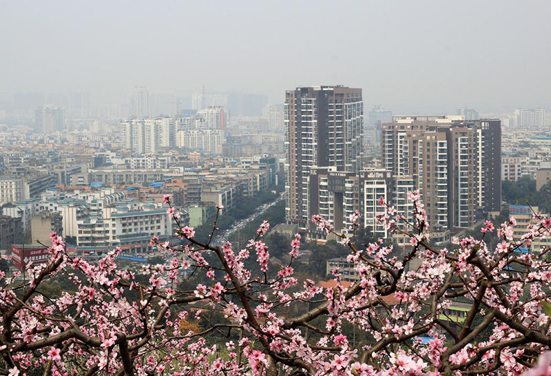 地产全案 / 锦橙