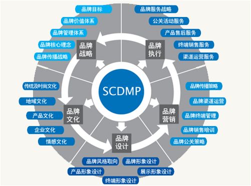 品牌传播精细化策略及案例
