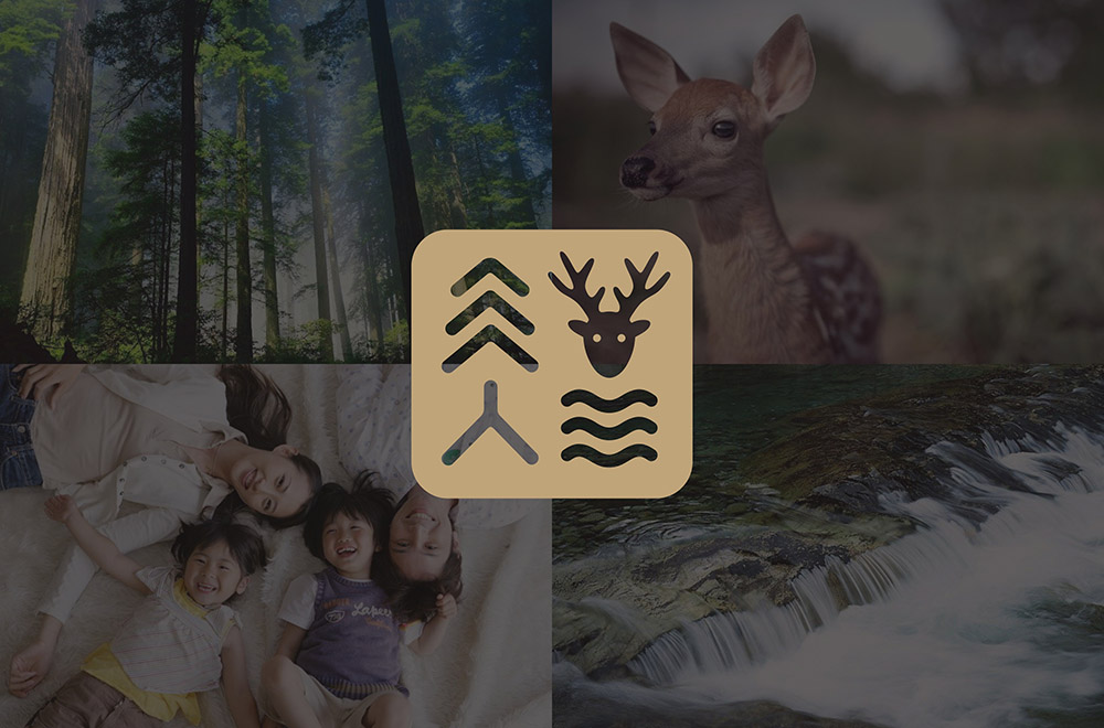 小企业如何打破僵局做品牌