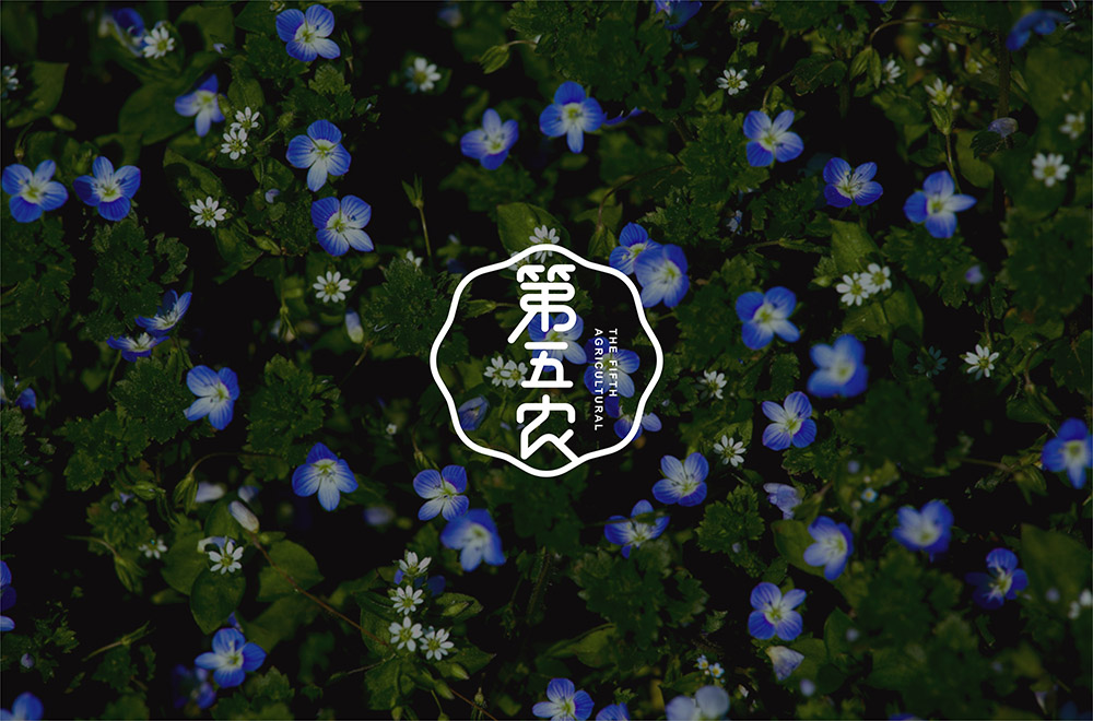 品牌策划如何开始