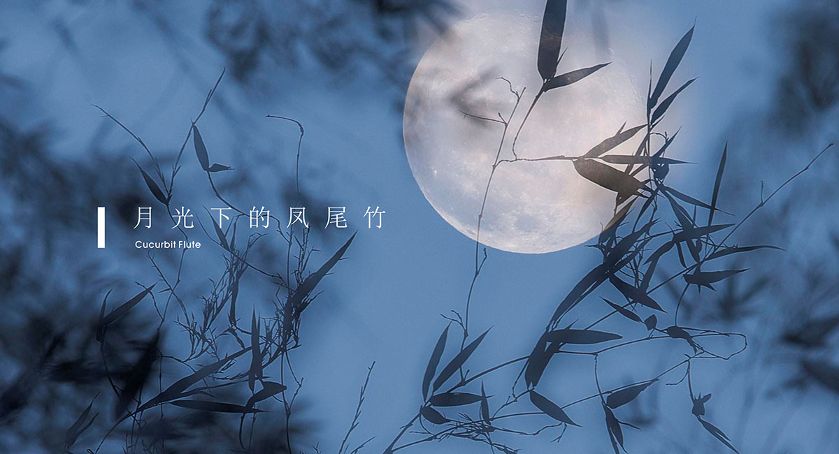 解读品牌定位在品牌策划中的重要性