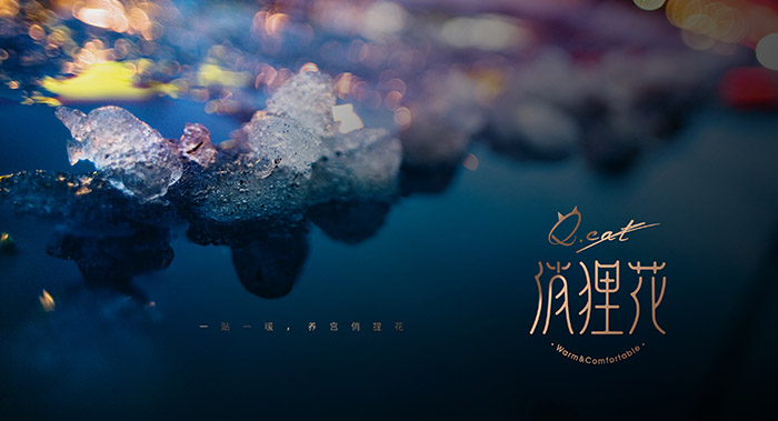 俏狸花草本暖宫贴品牌策划