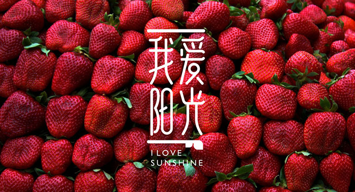 品牌策划公司-开一家水果店需要多少钱？