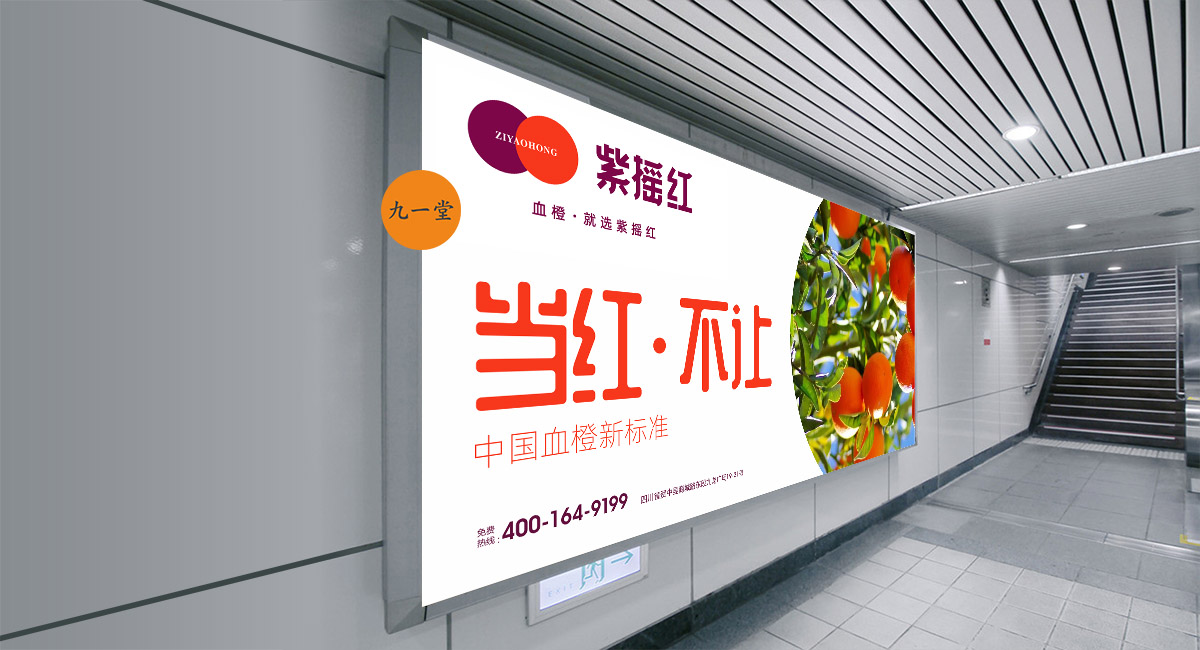 品牌是如何作为一个运营体系而存在的？