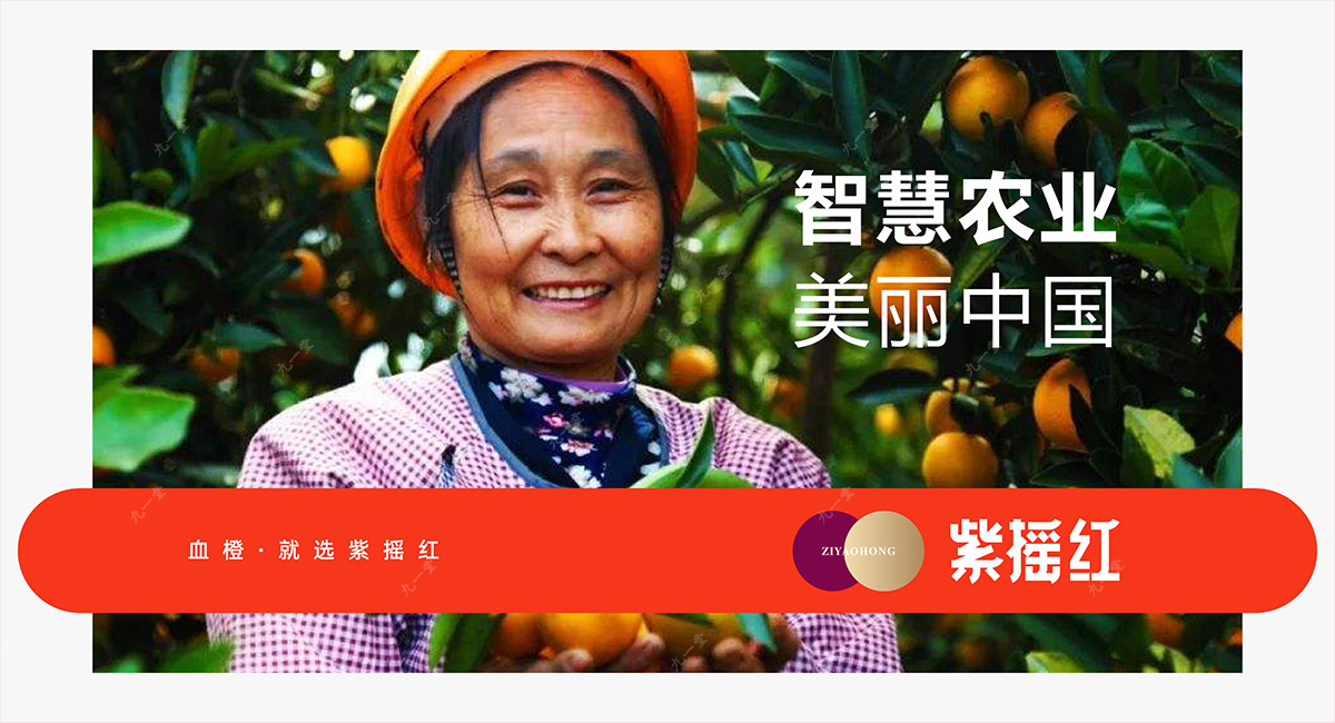 品牌设计公司如何打造顶流企业品牌?
