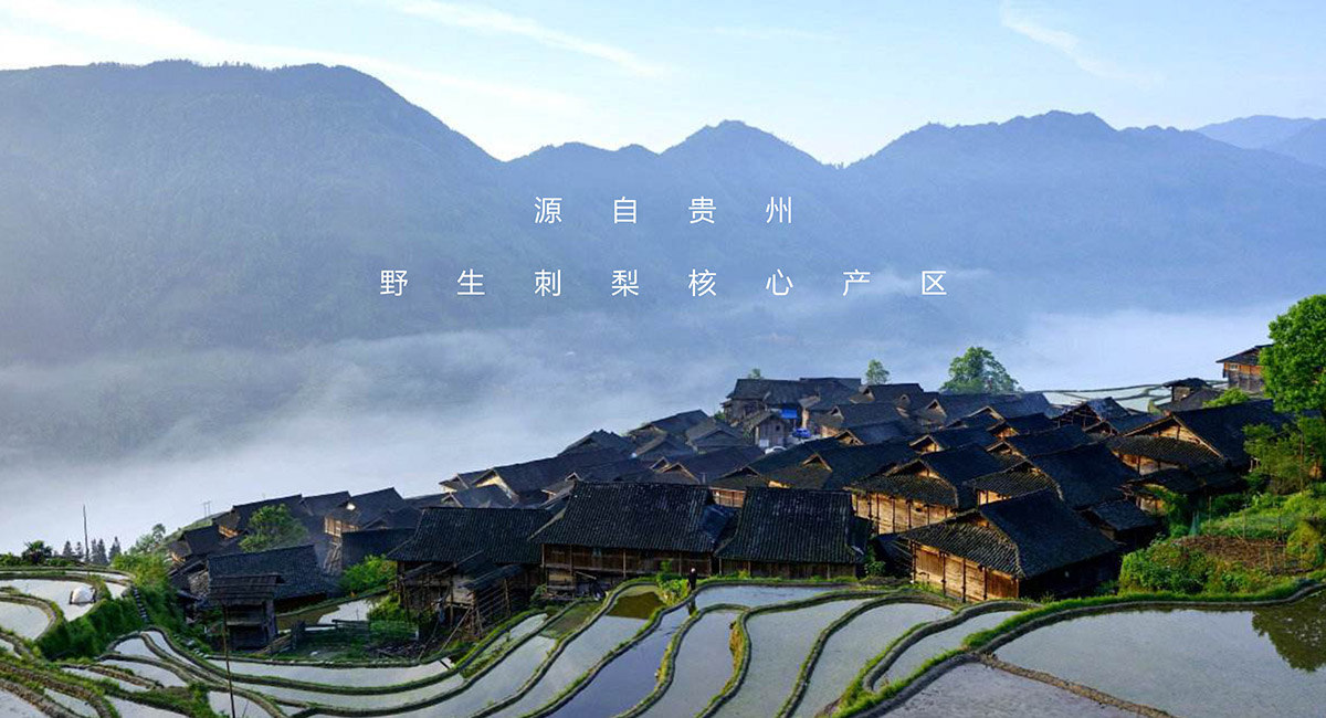 走心的饮料产品包装设计怎么做?