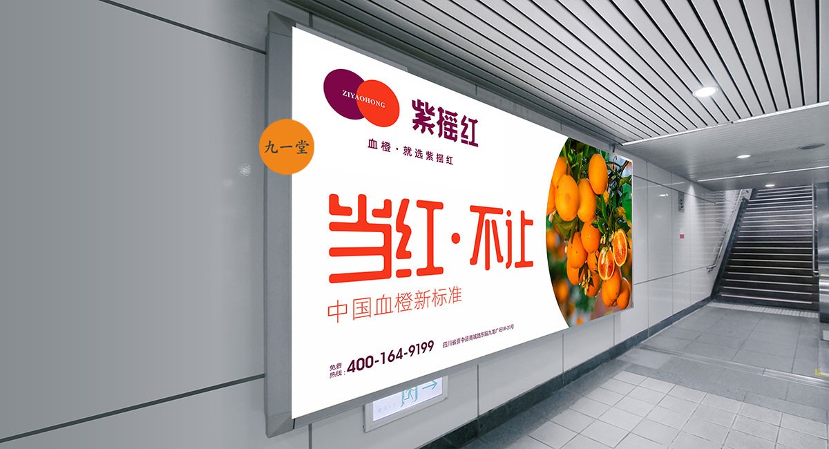 品牌定位的原理与方法