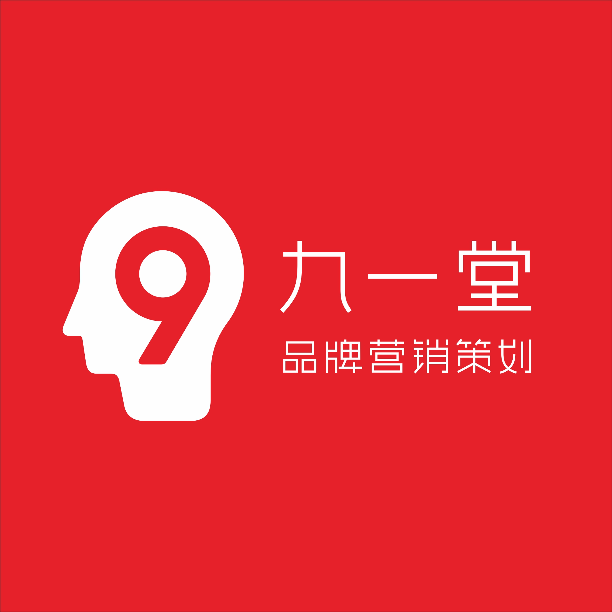 成都九一堂品牌营销策划有限公司